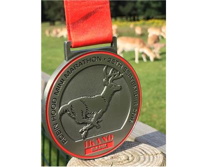 Robin Hood medal